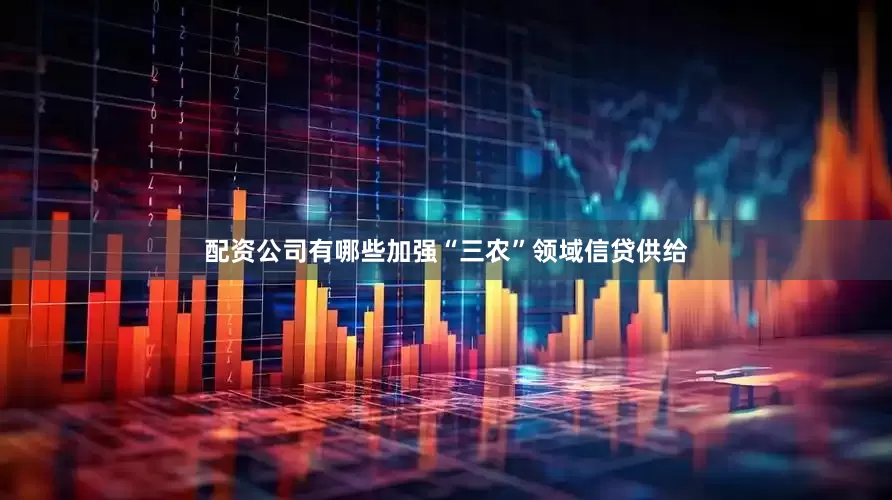 配资公司有哪些加强“三农”领域信贷供给