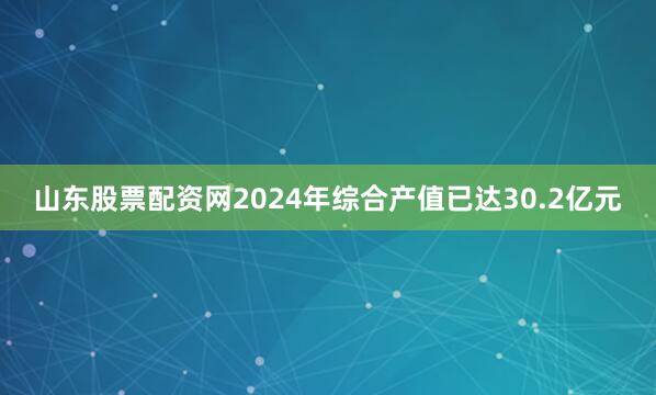 山东股票配资网2024年综合产值已达30.2亿元