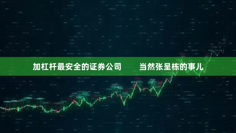 加杠杆最安全的证券公司        当然张呈栋的事儿