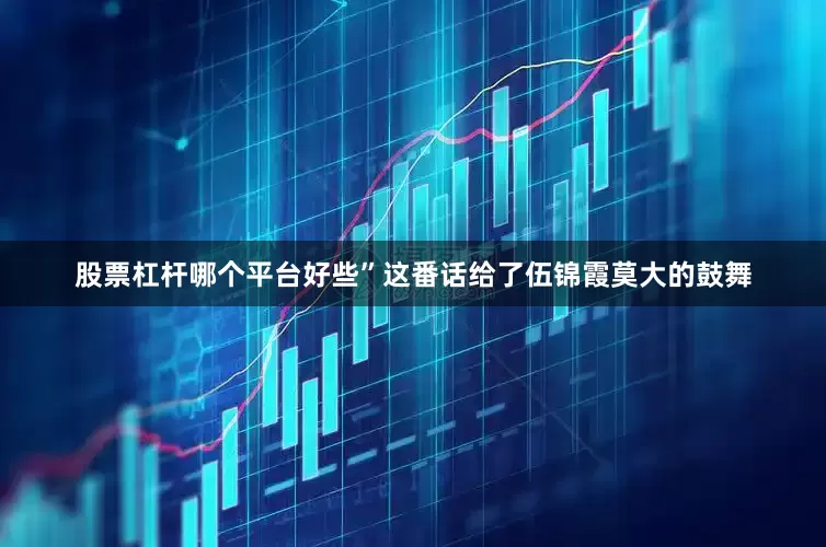 股票杠杆哪个平台好些”这番话给了伍锦霞莫大的鼓舞
