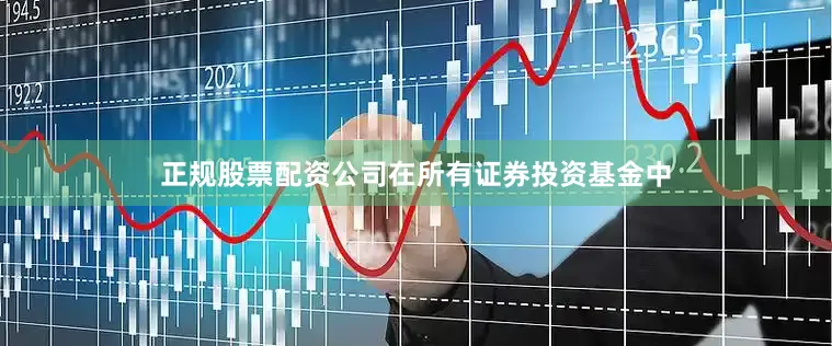 正规股票配资公司在所有证券投资基金中